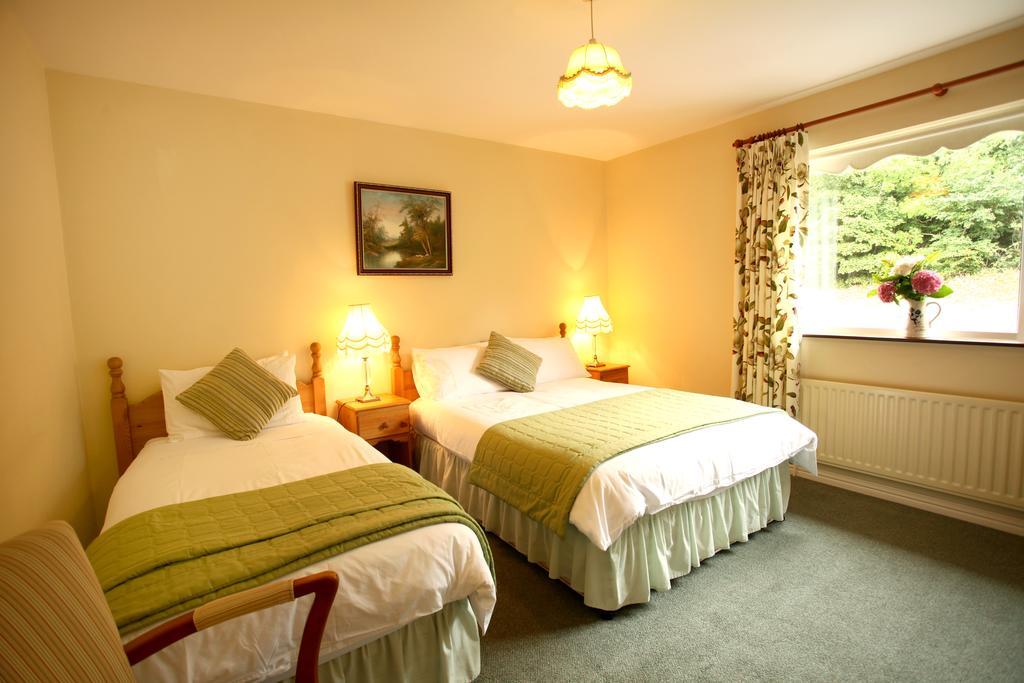 Adare House Bed & Breakfast Bed & Breakfast Westport Exterior photo